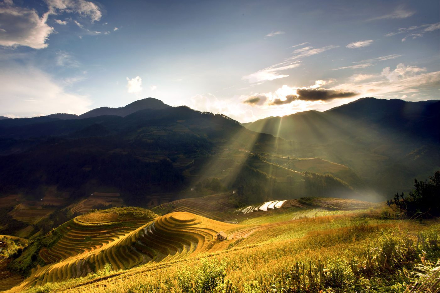 Đồi mâm xôi vào buổi sáng tinh mơ ở Mù Cang Chải