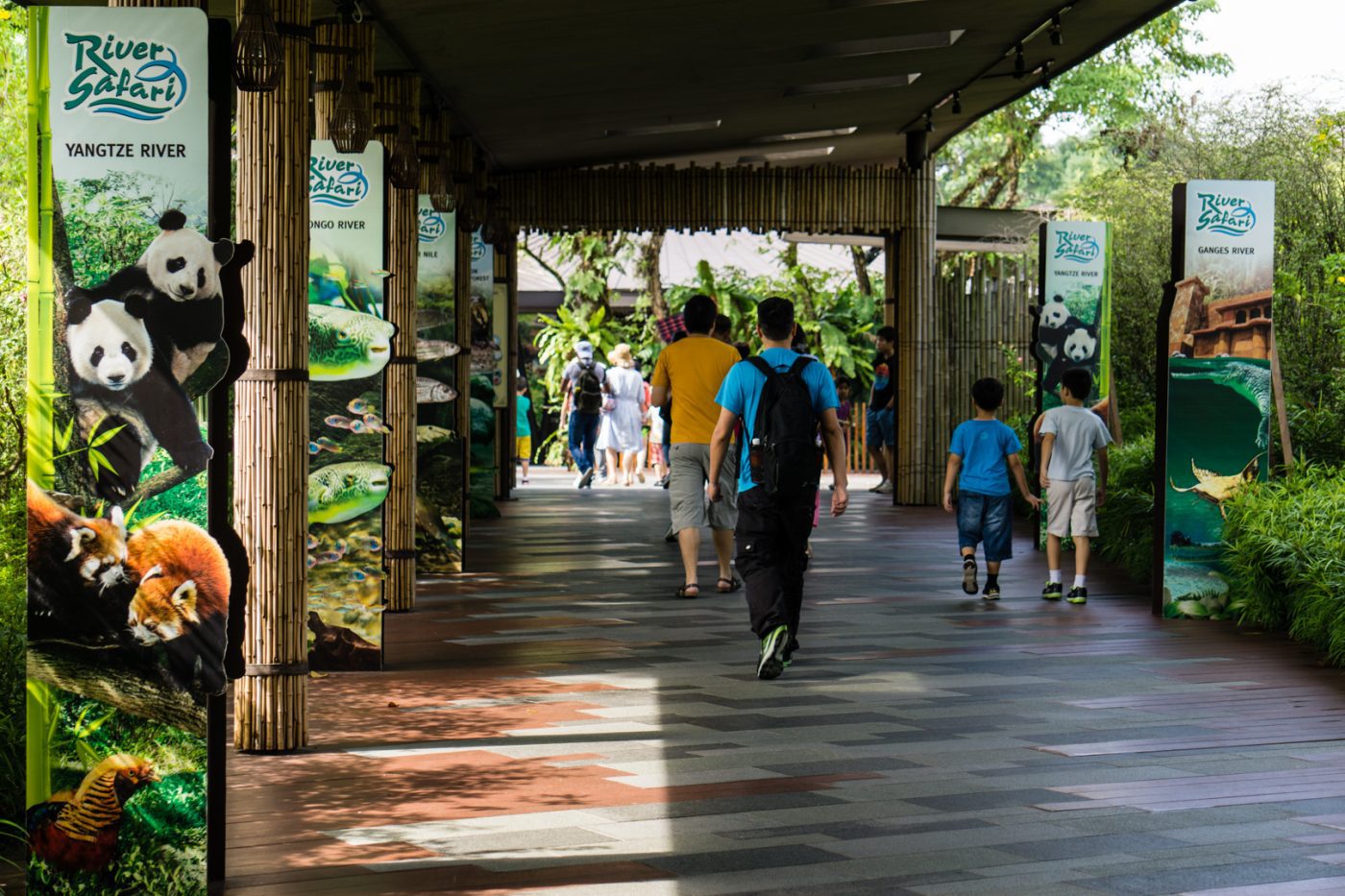 Công viên hoang dã River Wonders khi đến Du lịch Singapre