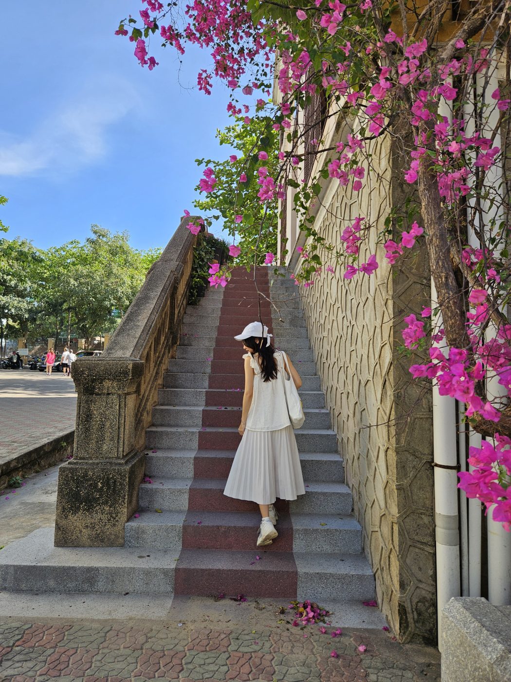Check in cùng hoa giấy khi đến du lịch Nha Trang