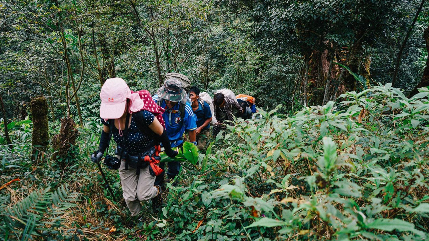 Hoạt động trekking được du khách lựa chọn khi du lịch Lai Châu